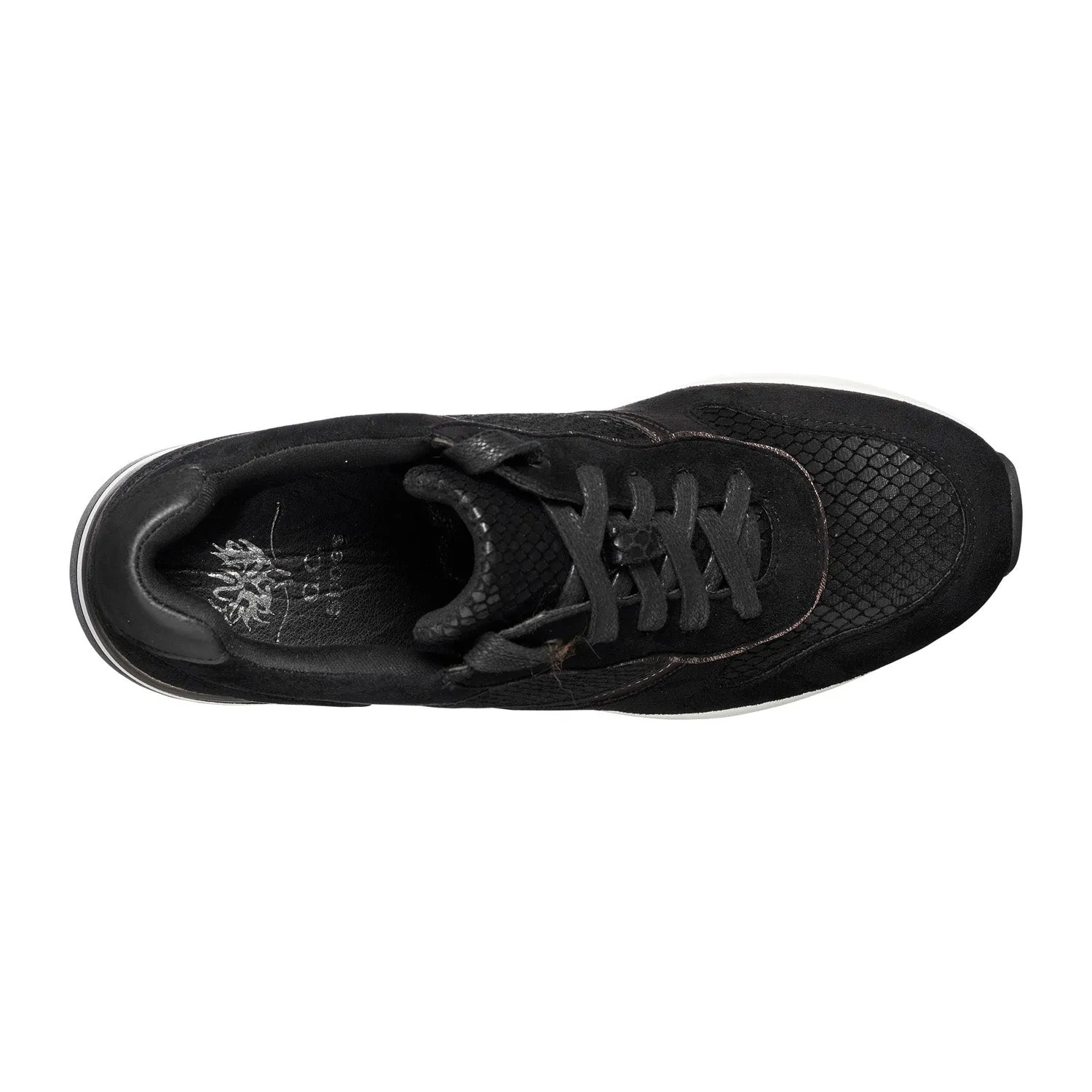 Canali Black Snake Sneakers