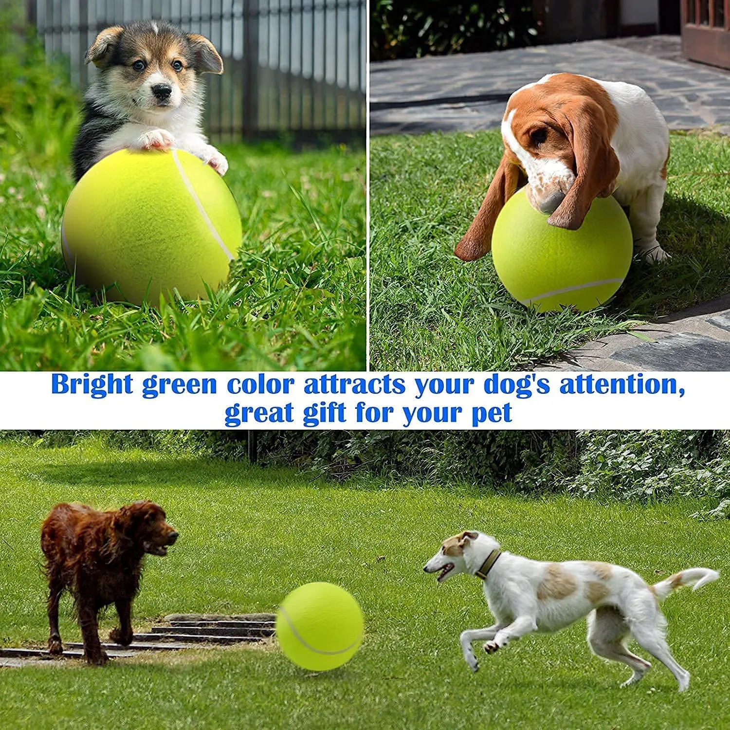 Jumbo Pet Tennis Ball - 9.5"